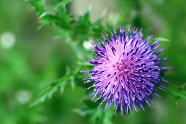 Similar image 8038479