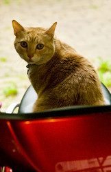 Similar image 8038481