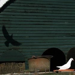 Similar image 8038485