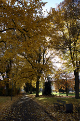 Similar image 8038486