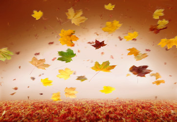 Similar image 8038497