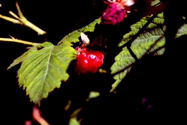 Similar image 8038502