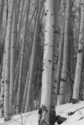 Similar image 8038504