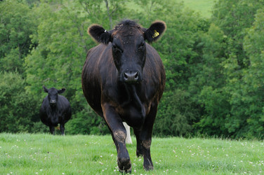 Similar image 8038507