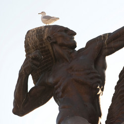 Similar image 8038509