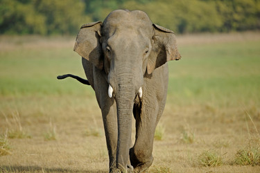 Similar image 8038521