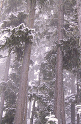 Similar image 8038524