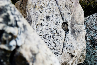 Similar image 8038529