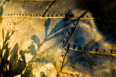 Similar image 8038533