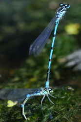 Similar image 8038535