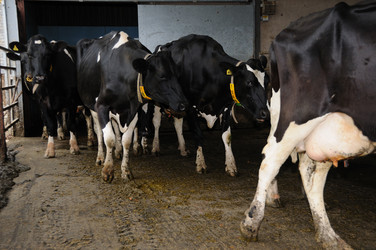 Similar image 8038536