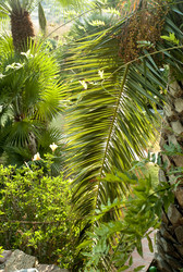 Similar image 8038538