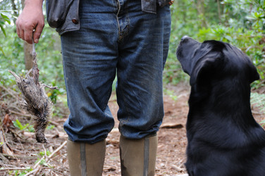 Similar image 8038543