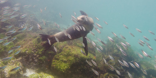 Similar image 8038553