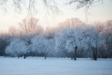 Similar image 8038559