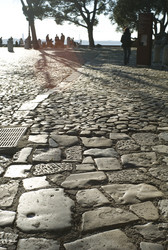 Similar image 8038565