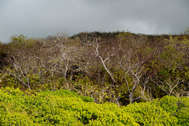 Similar image 8038590