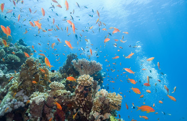 Similar image 8038592