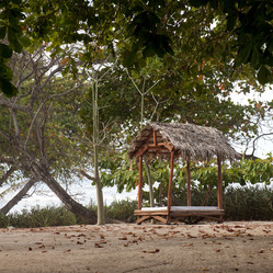 Similar image 8038601