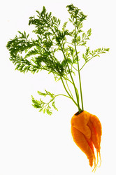 Similar image 8038606