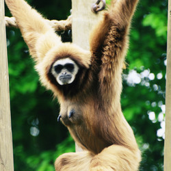 Similar image 8038615