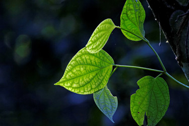 Similar image 8038616