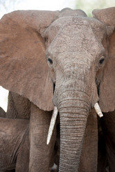 Similar image 8038617