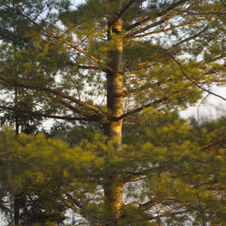 Similar image 8038622