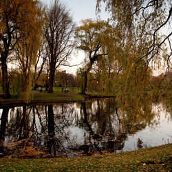 Similar image 8038626