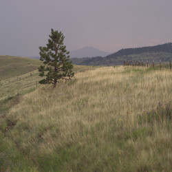 Similar image 8038627