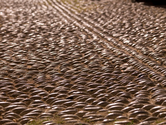 Similar image 8038629