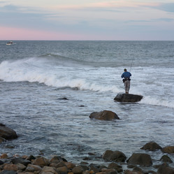 Similar image 8038639