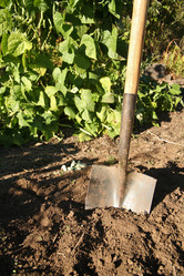 Similar image 8038647