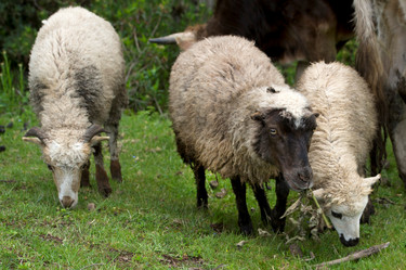 Similar image 8038651