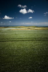 Similar image 8038655