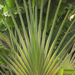 Similar image 8038666