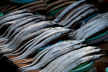 Similar image 8038673