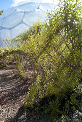 Similar image 8038689