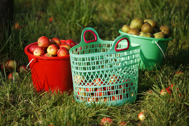 Similar image 8038695