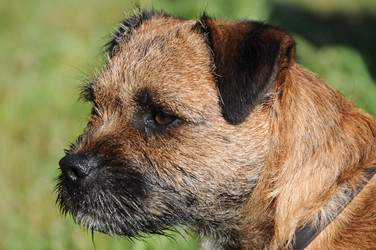 Similar image 8038699