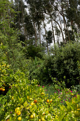 Similar image 8038708