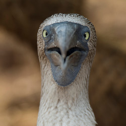 Similar image 8038711