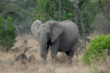 Similar image 8038712