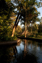 Similar image 8038718