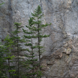 Similar image 8038720