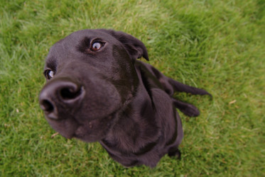 Similar image 8038723