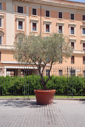 Similar image 8038724