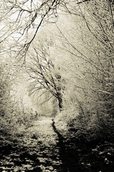 Similar image 8038729