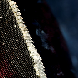 Similar image 8038741