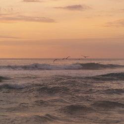 Similar image 8038745